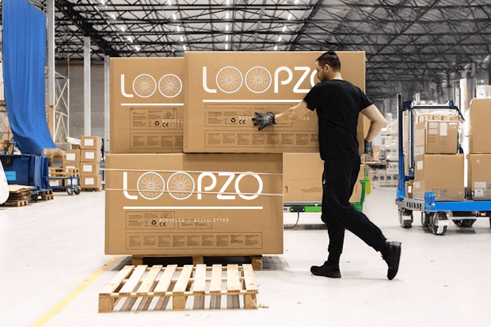 Loopzo loopfiets volwassenen
